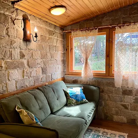 рози, семково Tatil Evi *