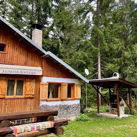 Casa de Férias рози, семково *