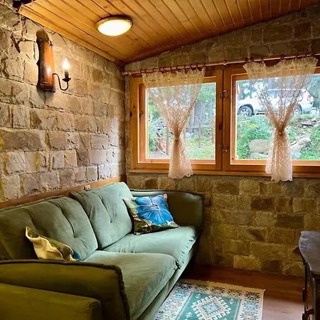 рози, семково Tatil Evi