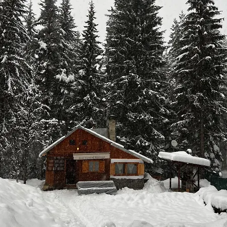 рози, семково Tatil Evi *