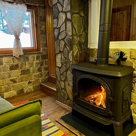 Tatil Evi рози, семково *