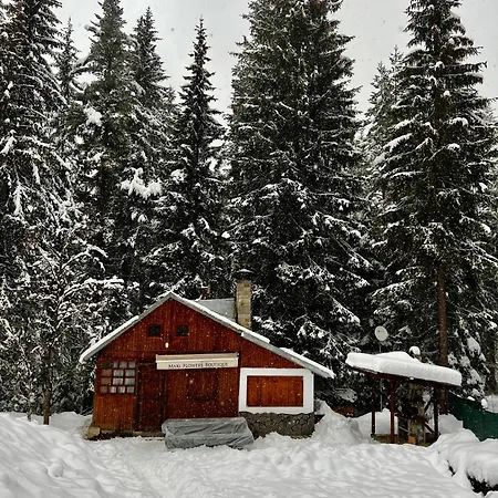 펜션 рози, семково *