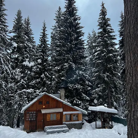 рози, семково Belitsa