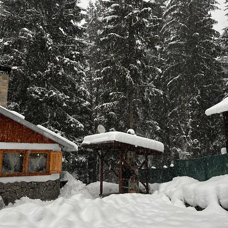 рози, семково 펜션 Semkovo