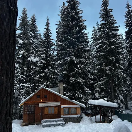 рози, семково Semkovo