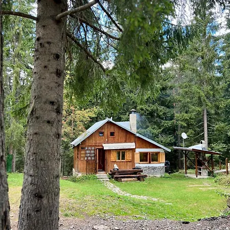 рози, семково Belitsa