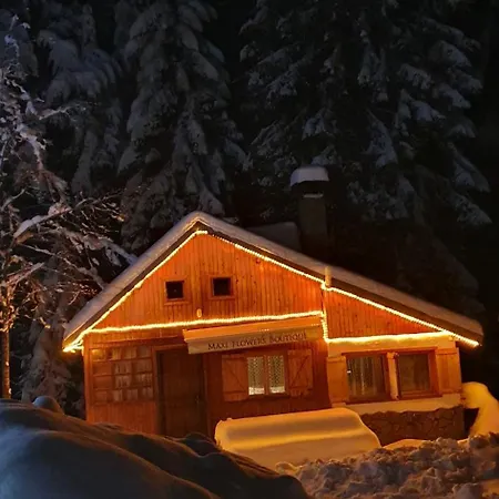 рози, семково * Belitsa