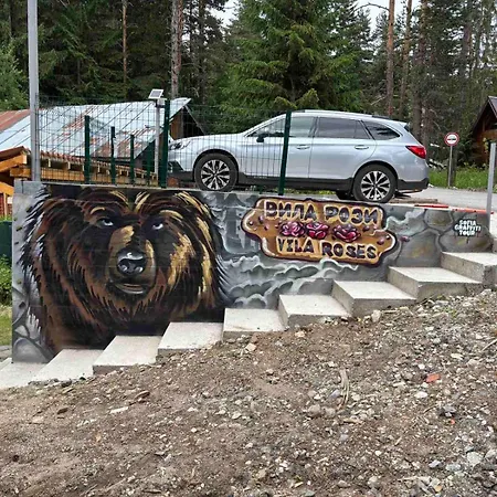 Tatil Evi рози, семково