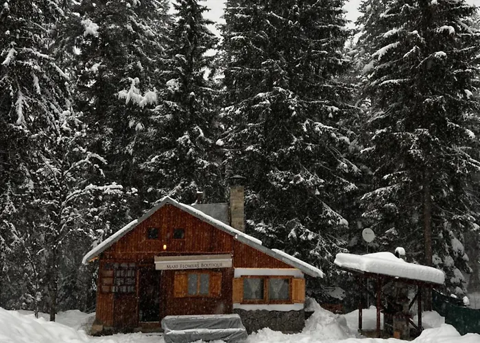 рози, семково Casa vacanze *