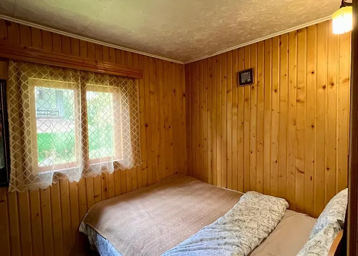 рози, семково *