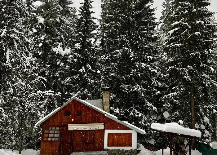 Casa vacanze рози, семково *