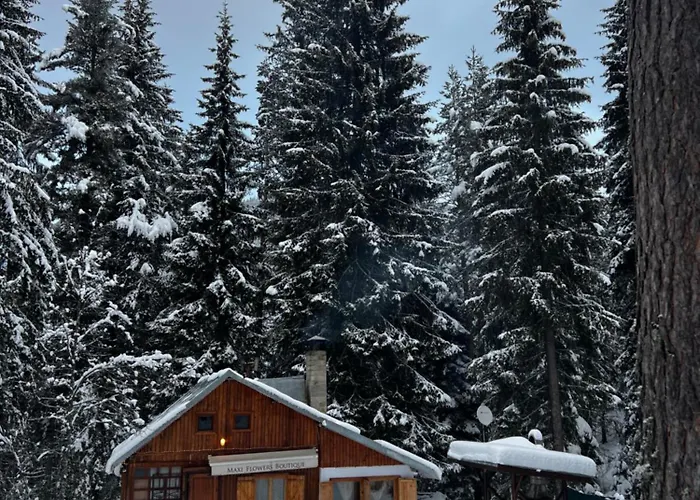 рози, семково Semkovo