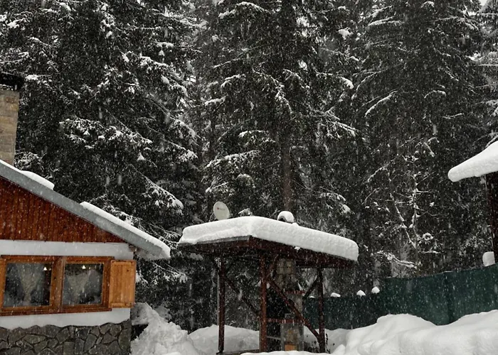 рози, семково Casa vacanze Semkovo