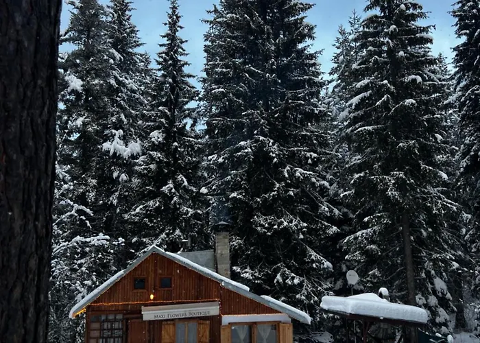 рози, семково Semkovo