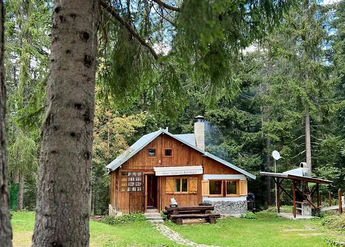 рози, семково Casa vacanze